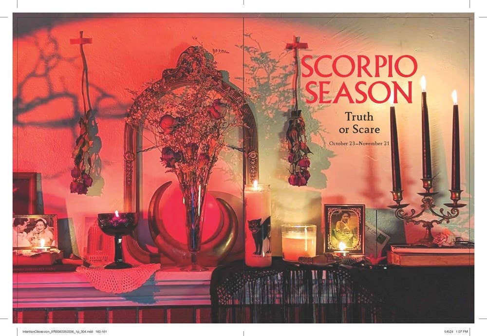 Intention Obsession: Erica Feldmann