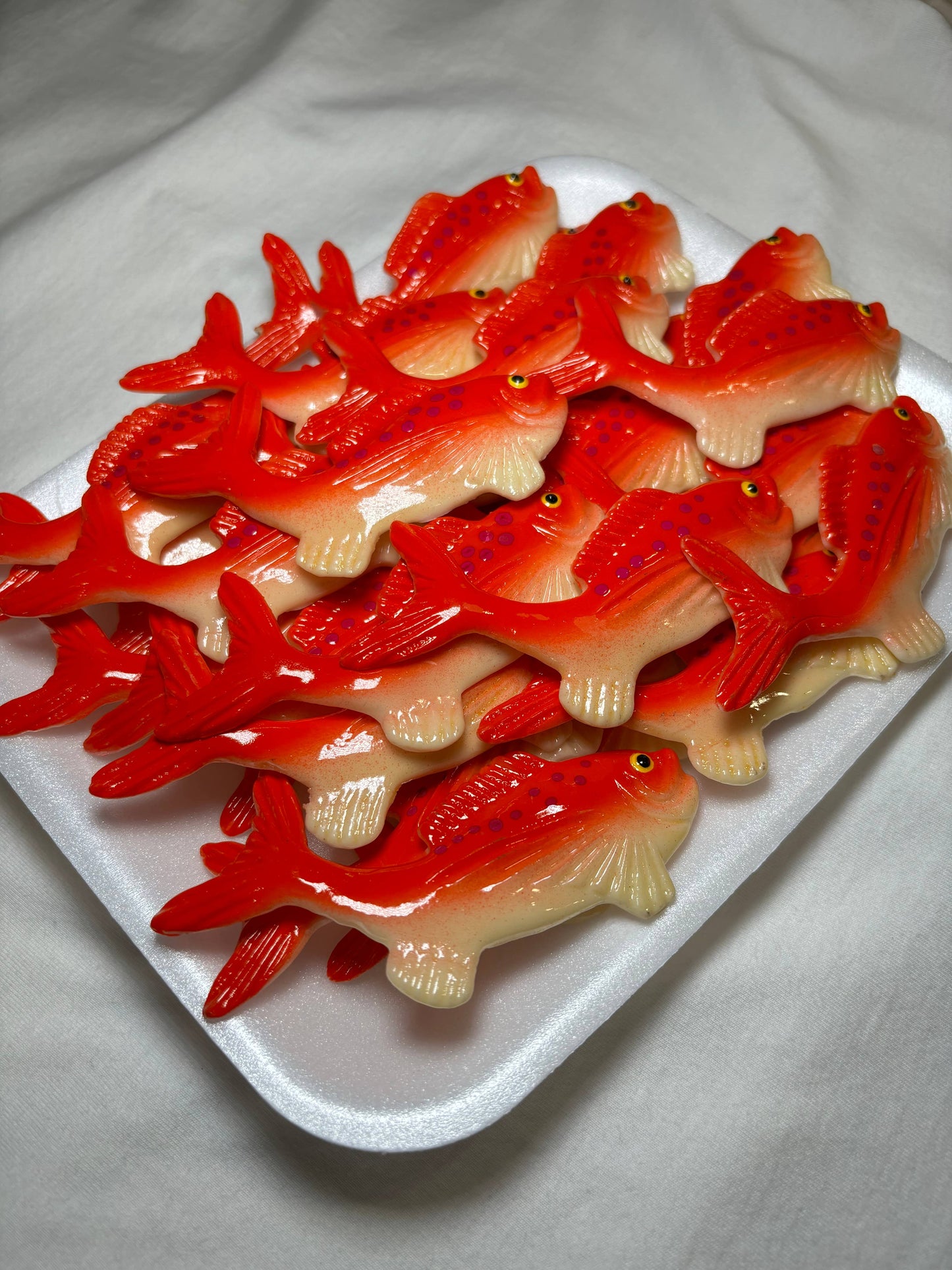 Salmon Magnet