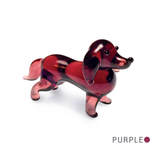 Doc - Dachshund Dog
