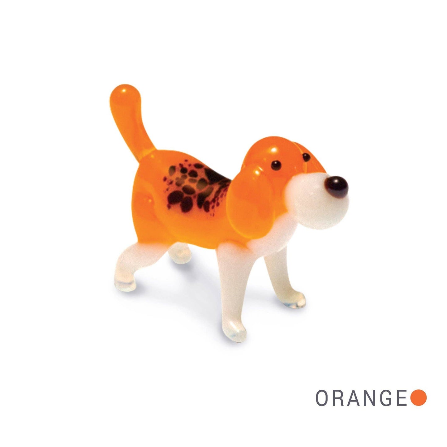 Puc - Beagle Dog