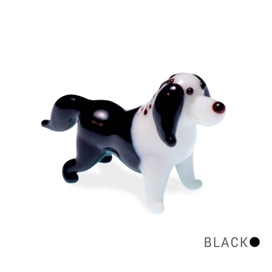 Unc - Border Collie Dog