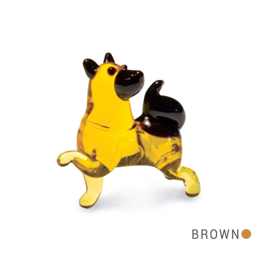 Tap - German Shepard Dog