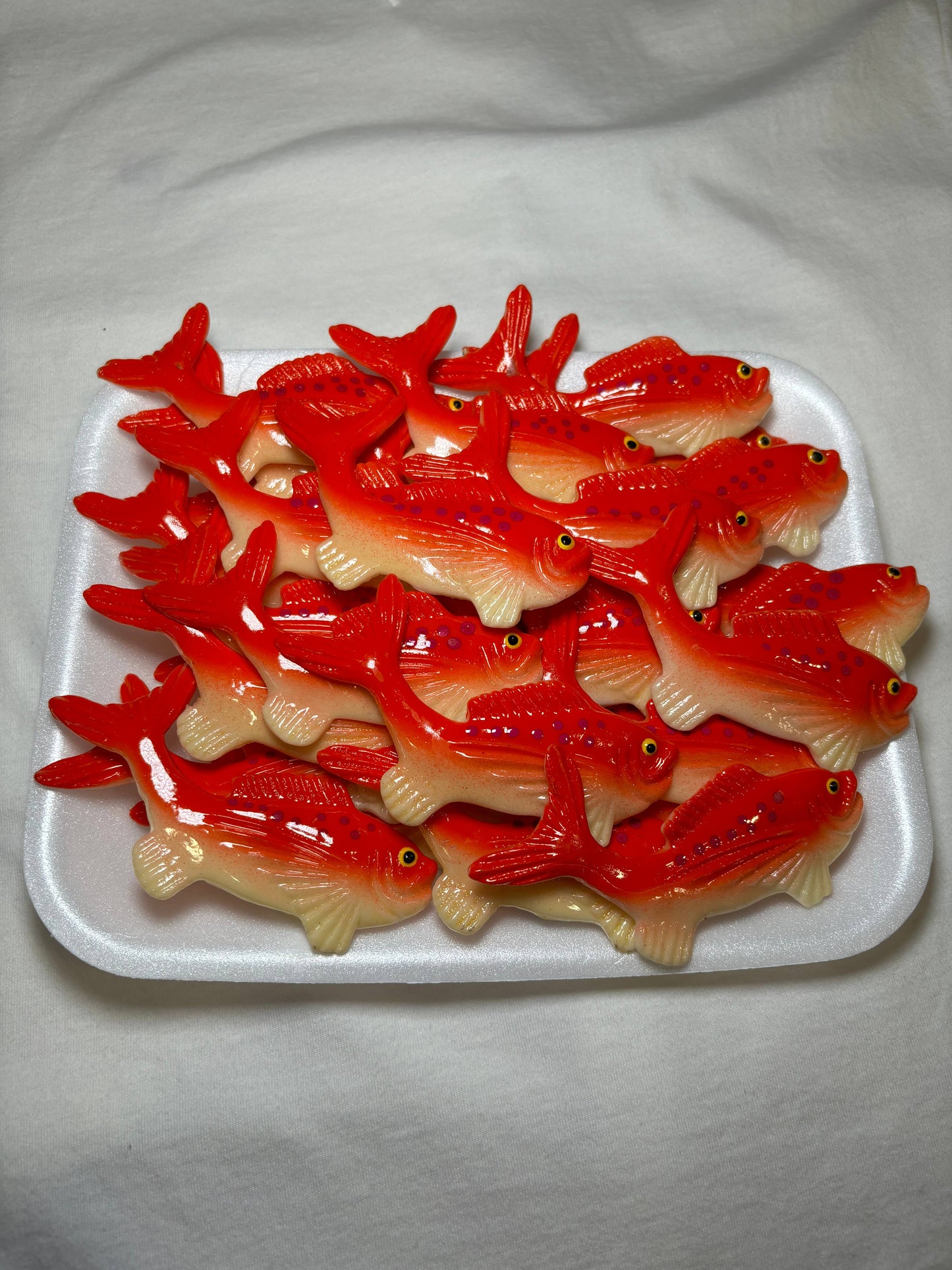 Salmon Magnet
