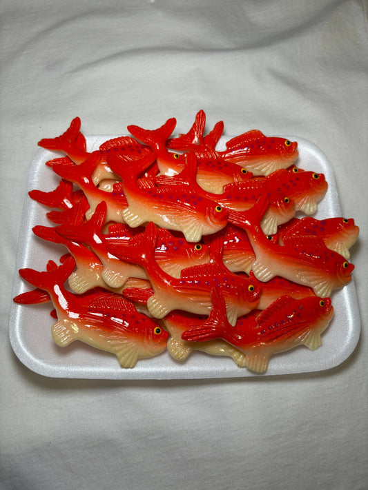 Salmon Magnet