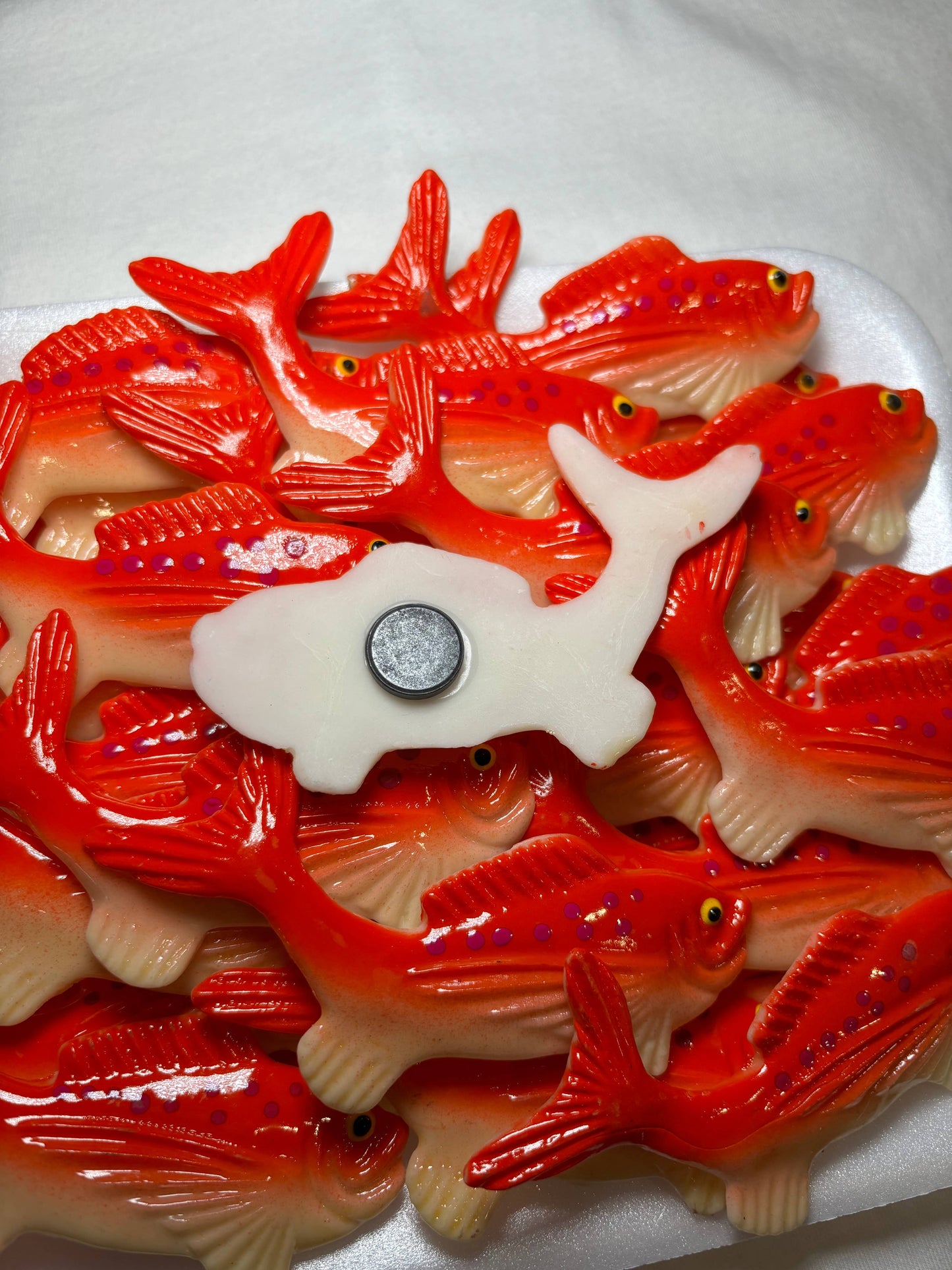 Salmon Magnet