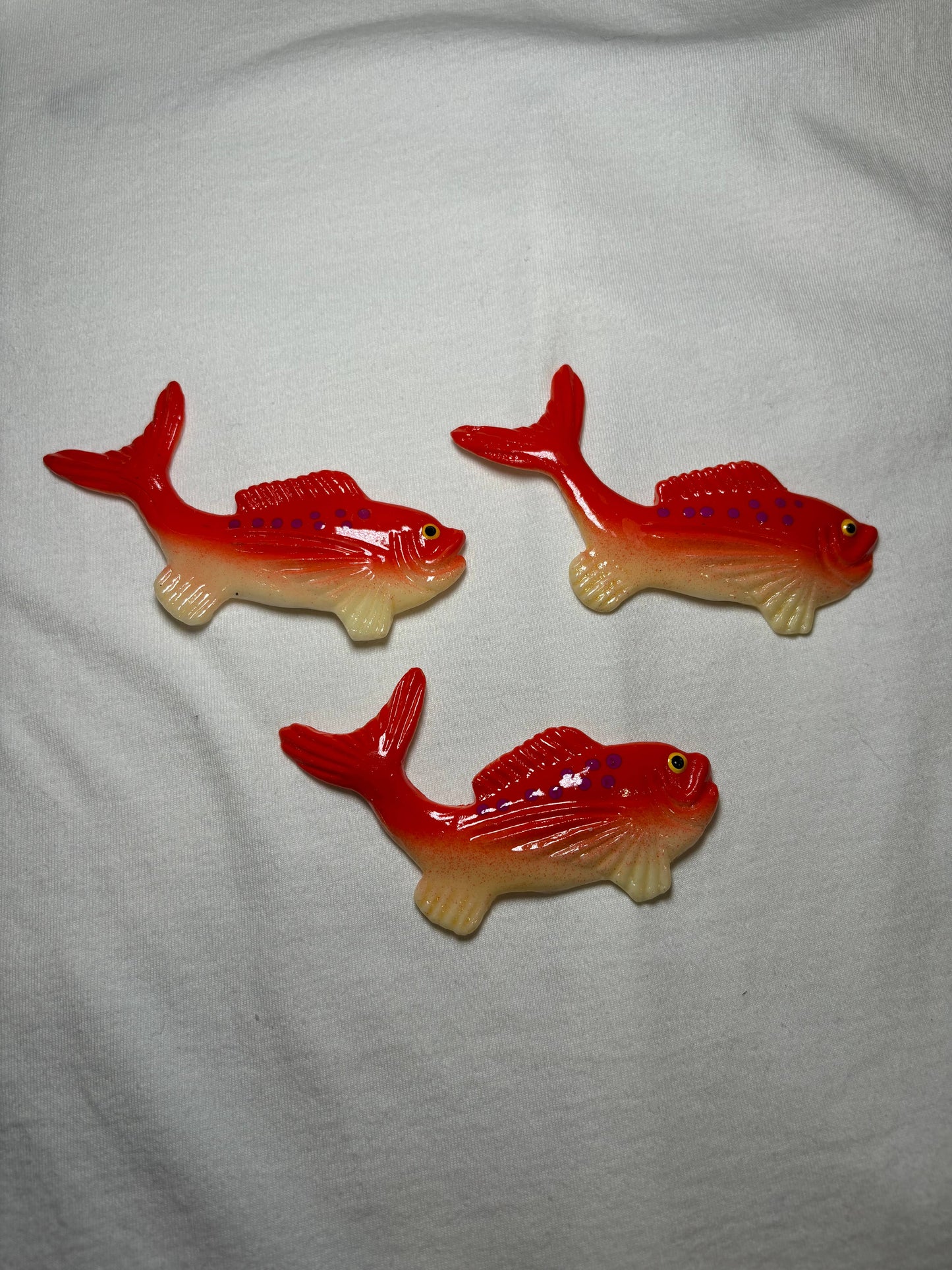 Salmon Magnet
