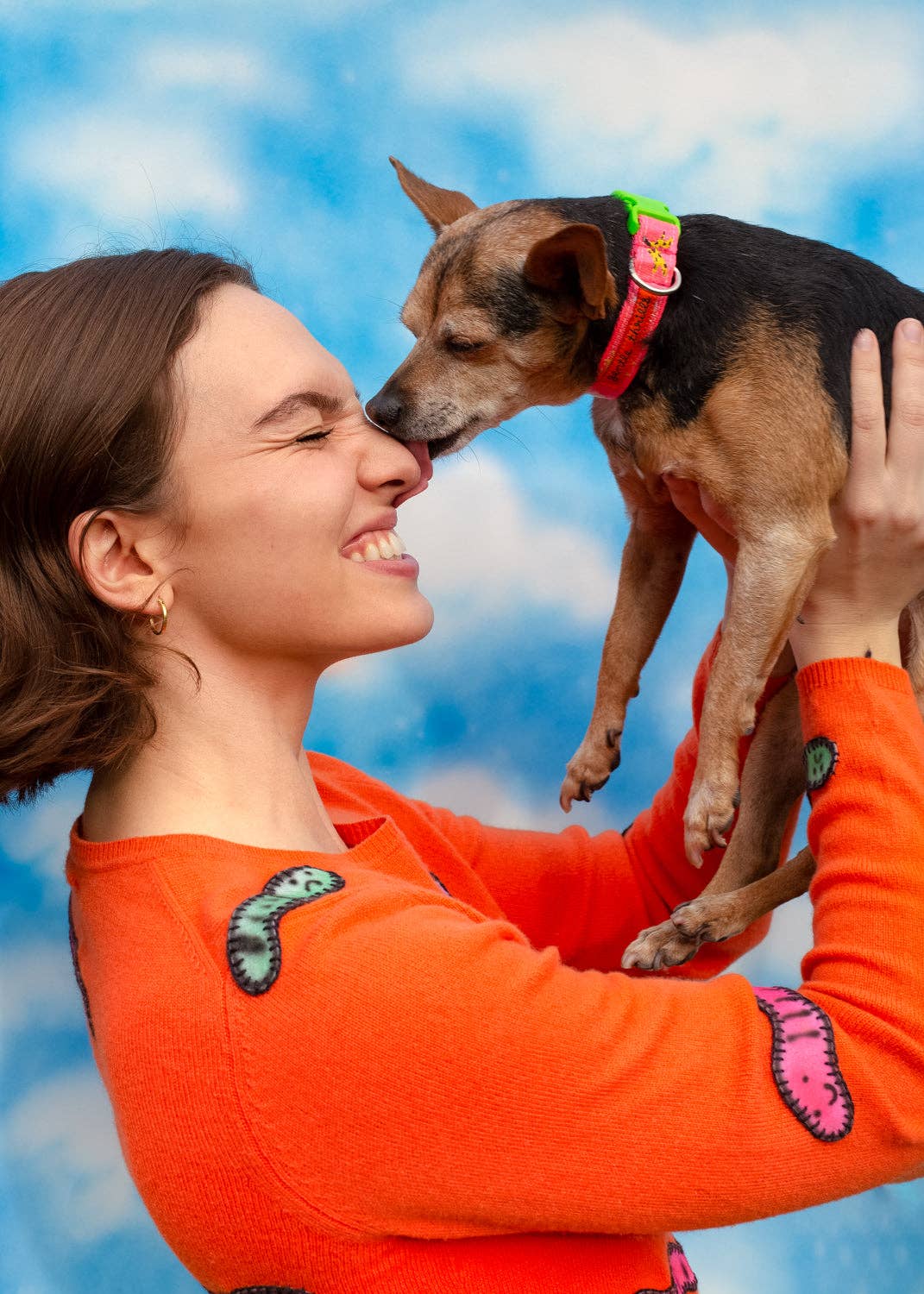 Trash day dog collar