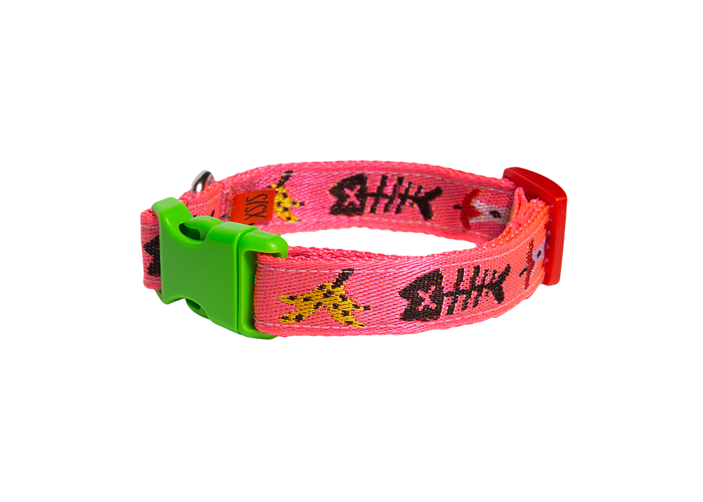 Trash day dog collar