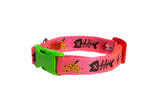Trash day dog collar
